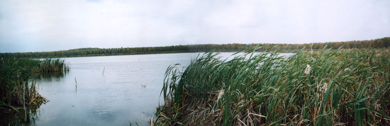 Озеро Скрипач - украшение памятника природы
