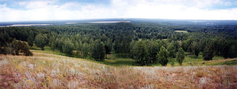 Панорама западной части памятника природы "Улантова гора". Вид с вершины горы 
