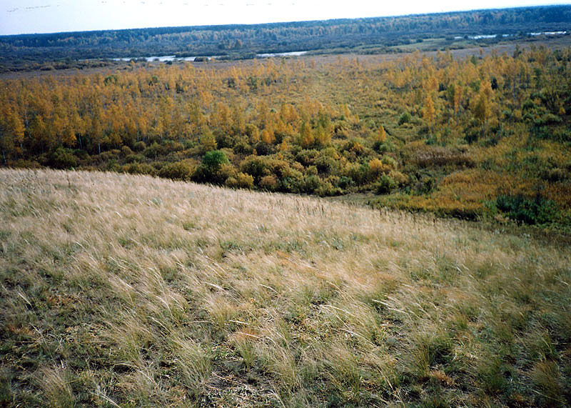 Участок ковыльной степи по северо-восточной границе памятника природы
