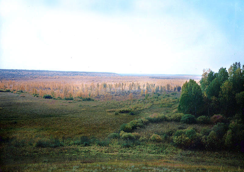 Кустарниковые луга в северо-восточной части памятника природы
