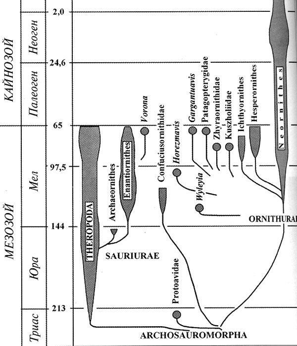 Схема родственных отношений тероподнгых динозавров и разнообразных пернатых. Показывает множественность попыток потомков архозавроморф
