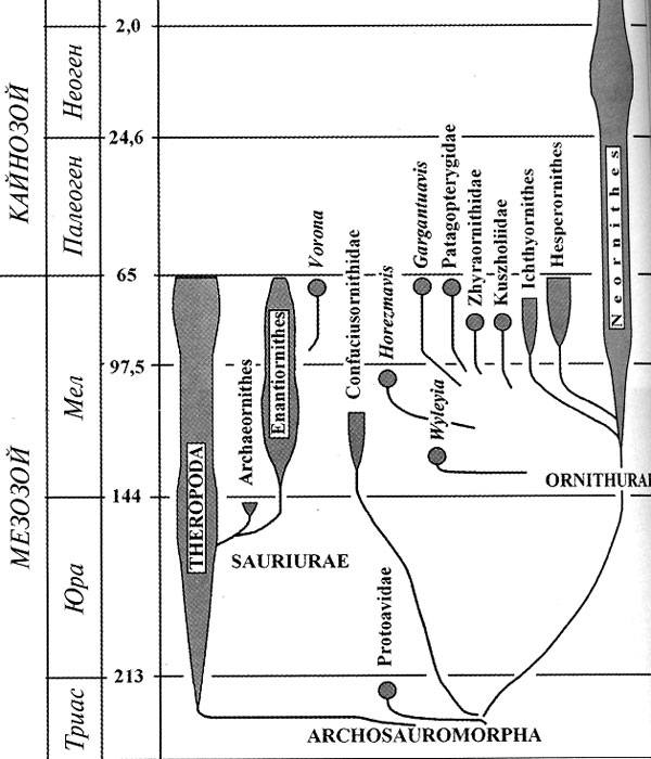 Схема родственных отношений тероподнгых динозавров и разнообразных пернатых. Показывает множественность попыток потомков архозавроморф
