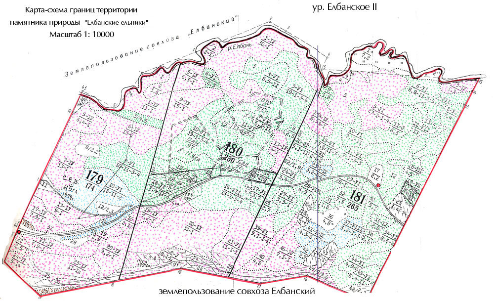 Карта-схема границ территории памятника природы "Елбанские ельники"
