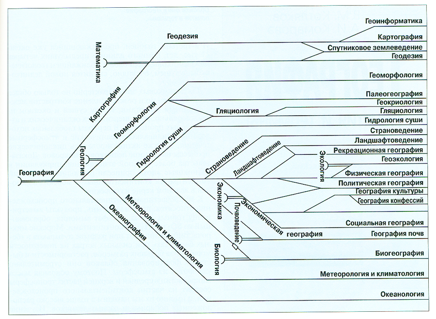 Древо географии
