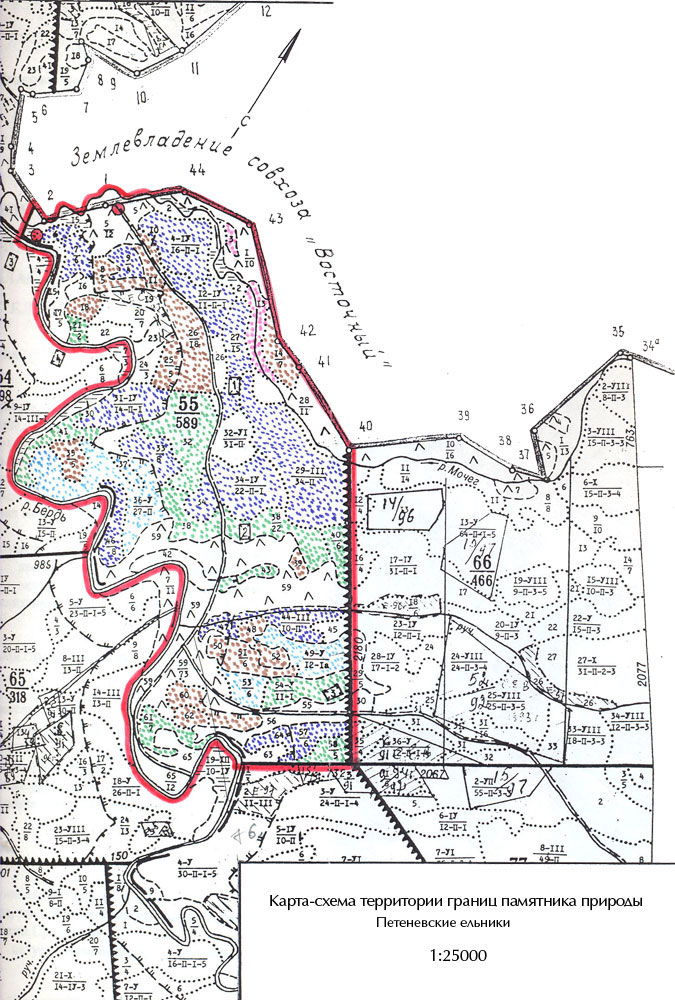 Карта-схема границ территории памятника природы "Петеневские ельники"
