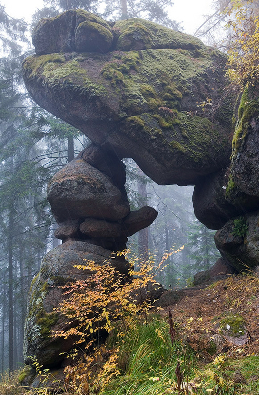 "Королевская калитка"
