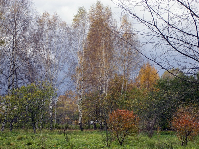 Мелиховские пейзажи
