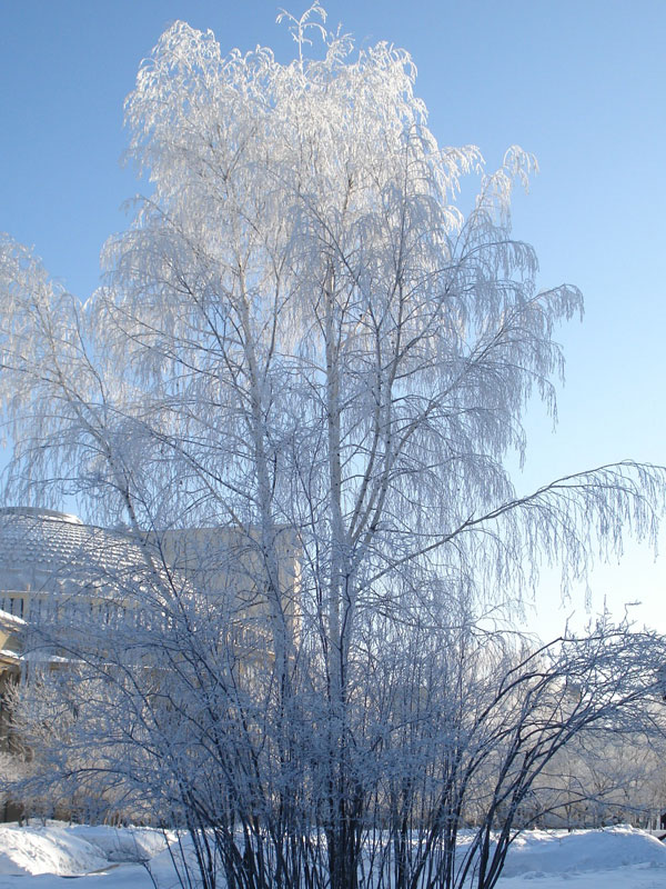 Фото Евсеевой В.
