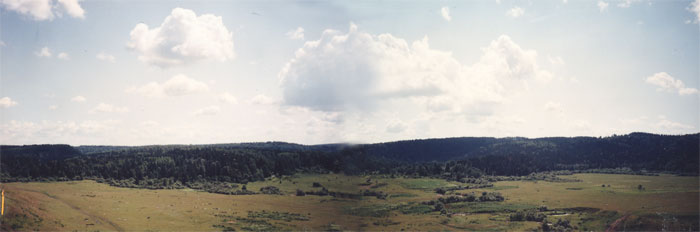Панорама южной части окраины памятника природы "Петеневские ельники"

