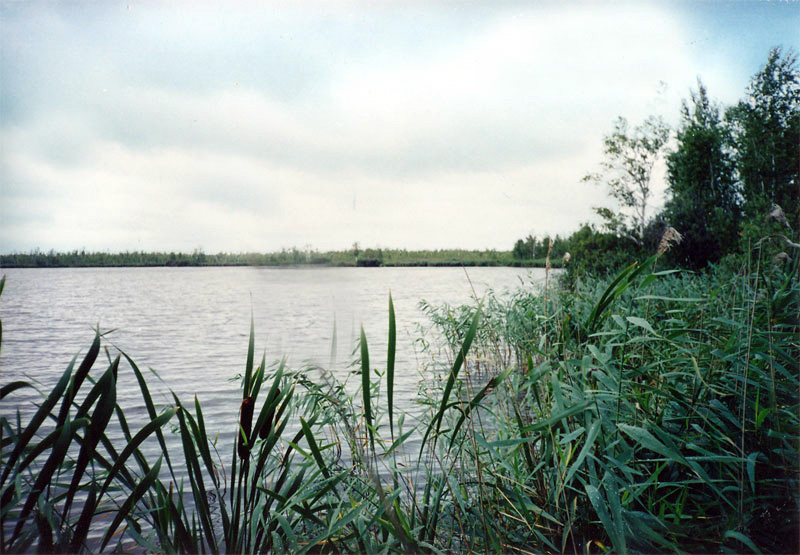 Восточная окраинная часть внутреннего озера памятника природы
