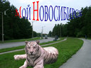 Имя файла=005~15.jpg
Размер файла=103КБ
Размеры=700x525
Дата=Дек 04, 2009 005~15.jpg