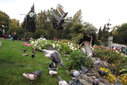 Filename=036-006.jpg
Filesize=201KiB
Dimensions=1024x683
Date added=Oct 06, 2009 036-006.jpg