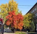 Имя файла=12088018_1505760103075498_8455843410270629926_n.jpg
Размер файла=162КБ
Размеры=800x730
Дата=Дек 17, 2015 12088018_1505760103075498_8455843410270629926_n.jpg