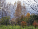 Имя файла=m-00063.jpg
Размер файла=240КБ
Размеры=700x525
Дата=Сент 17, 2008 m-00063.jpg