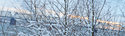 Имя файла=p005~0.jpg
Размер файла=243КБ
Размеры=1280x369
Дата=Март 10, 2010 p005~0.jpg