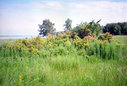 u006.jpg