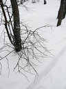 Имя файла=w007.jpg
Размер файла=99КБ
Размеры=600x800
Дата=Авг 03, 2012 w007.jpg