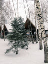 Имя файла=w008.jpg
Размер файла=149КБ
Размеры=600x800
Дата=Авг 03, 2012 w008.jpg