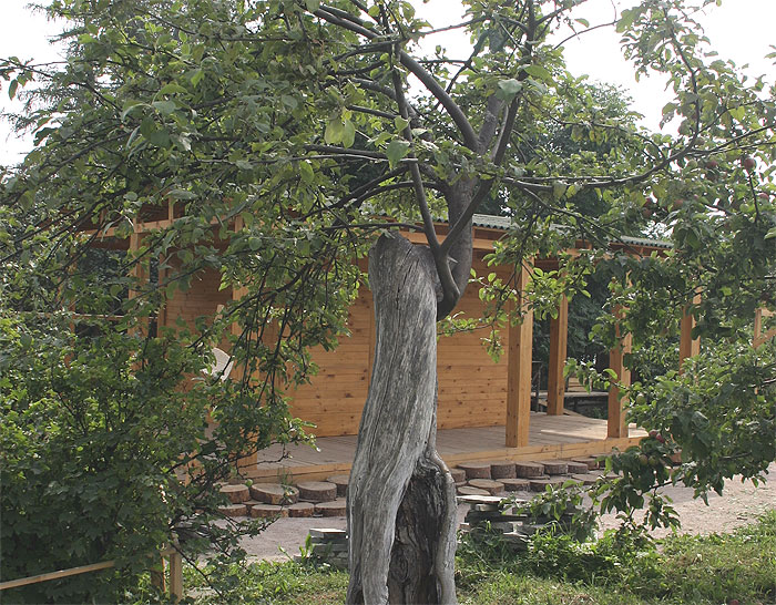 v-0162.jpg