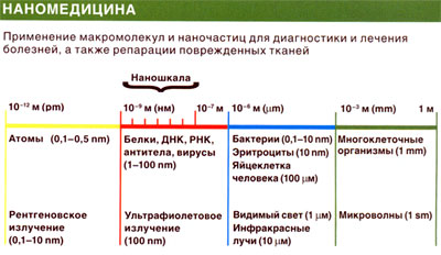 Реферат: Обзор биологических наномоторов