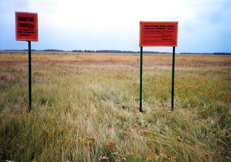 Информационный и предупредительный знаки-щиты в северо-восточной части памятника природы
