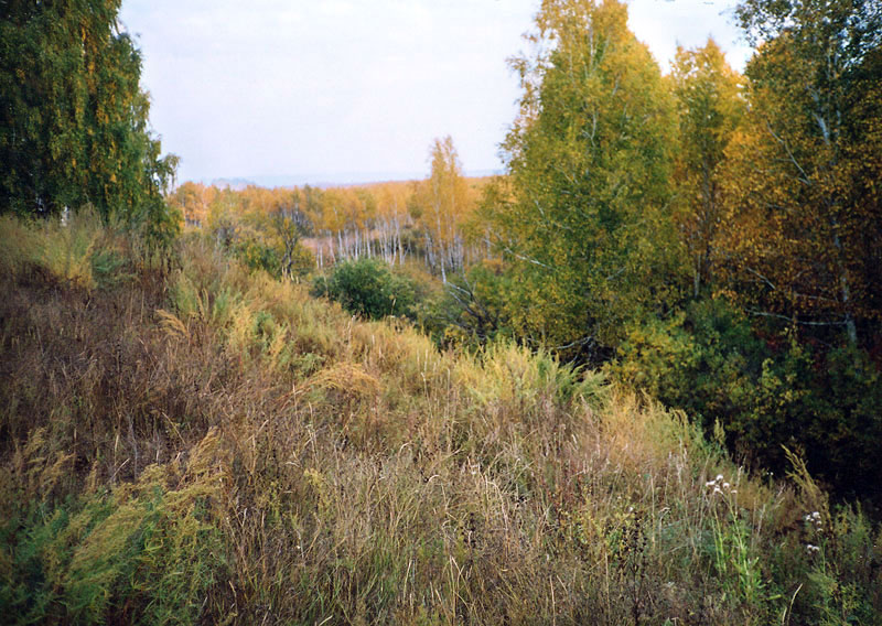 Типичный склон терассы по северной границе памятника природы
