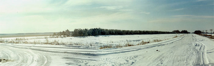 Панорама Центральной части территории памятника природы "Волчья грива"
