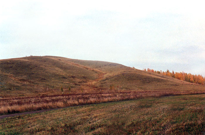 Сопка Лесная. Панорама южного склона. Залесскоковыльная степь. На склонах сопки Лысой растительные сообщества сохранились и имеют естеств
