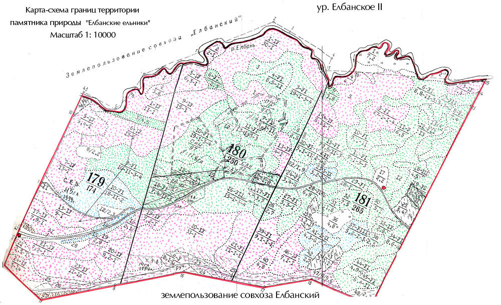 Карта-схема границ территории памятника природы "Елбанские ельники"
