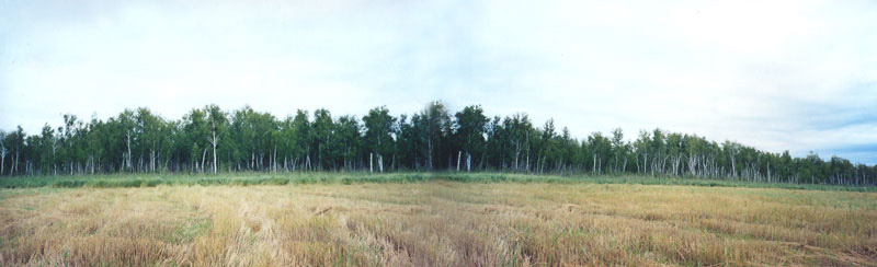 Панорама южной границы памятника природы в его западной части
