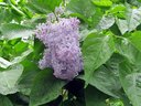 Имя файла=11270625_1443823122602530_5103320208419161160_o.jpg
Размер файла=171КБ
Размеры=1000x750
Дата=Июнь 12, 2015 11270625_1443823122602530_5103320208419161160_o.jpg
