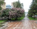 Имя файла=11289428_1444186032566239_7122799043138126273_o.jpg
Размер файла=162КБ
Размеры=1000x785
Дата=Июнь 12, 2015 11289428_1444186032566239_7122799043138126273_o.jpg