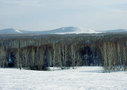 Имя файла=b014~1.jpg
Размер файла=114КБ
Размеры=800x566
Дата=Май 24, 2011 b014~1.jpg