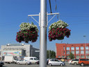 Имя файла=s012~0.jpg
Размер файла=107КБ
Размеры=800x600
Дата=Авг 03, 2012 s012~0.jpg