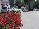 Имя файла=s015.jpg
Размер файла=158КБ
Размеры=800x600
Дата=Авг 03, 2012 s015.jpg