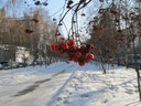 Имя файла=w013.jpg
Размер файла=153КБ
Размеры=800x600
Дата=Авг 03, 2012 w013.jpg