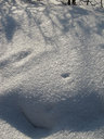 Имя файла=w016.jpg
Размер файла=142КБ
Размеры=600x800
Дата=Авг 03, 2012 w016.jpg