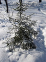 Имя файла=w019.jpg
Размер файла=159КБ
Размеры=600x800
Дата=Авг 03, 2012 w019.jpg