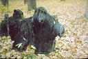 Имя файла=05-2.jpg
Размер файла=80КБ
Размеры=600x404
Дата=Окт 17, 2006 05-2.jpg
