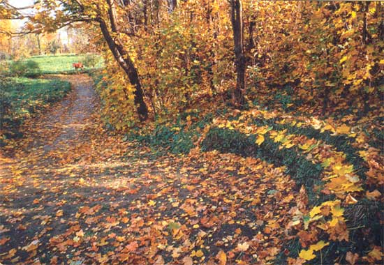 Дерновая скамейка в дальнем уголке усадьбы
