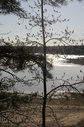 Имя файла=8-5.jpg
Размер файла=82КБ
Размеры=398x600
Дата=Июнь 07, 2007 8-5.jpg