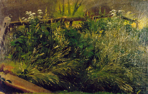 И.И. Шишкин. 1832-1898. Буйная трава. Не датирована
