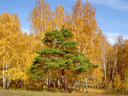 Имя файла=096.jpg
Размер файла=84КБ
Размеры=500x375
Дата=Сент 29, 2006 096.jpg