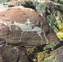 Имя файла=035.jpg
Размер файла=205КБ
Размеры=700x683
Дата=Нояб 18, 2007 035.jpg