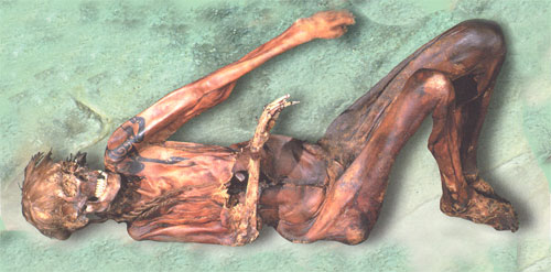 Мужская мумия, обнаруженная на памятнике Верх-Кальджин-II. Плоскогорье Укок
