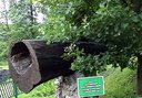 Имя файла=52.jpg
Размер файла=45КБ
Размеры=500x348
Дата=Май 30, 2006 52.jpg