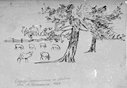 Имя файла=1927.jpg
Размер файла=22КБ
Размеры=500x347
Дата=Май 26, 2006 1927.jpg